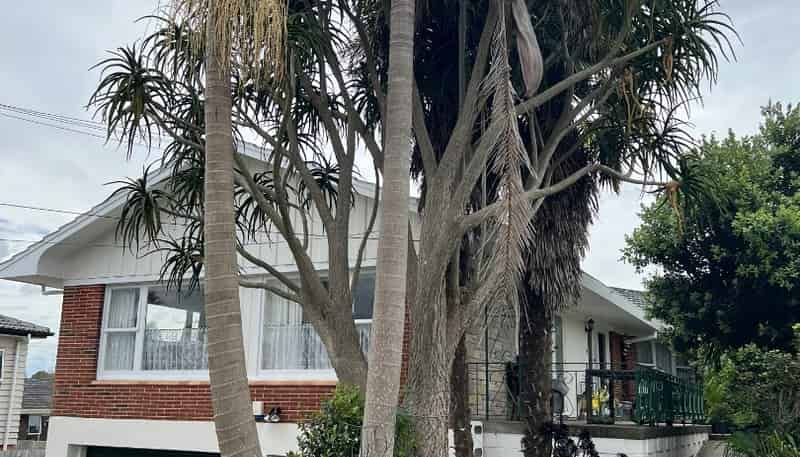 9 Lochinver Road, Papatoetoe
