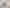 104 Shetland Street, Wakari