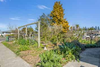 15 Rimu Street, Edgecumbe