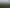 Waikato - Address withheld