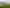 116 Milson Line, Milson