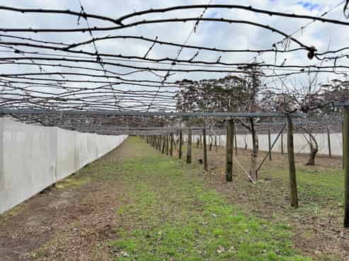 881B Te Matai Road, Te Puke