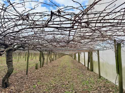 881B Te Matai Road, Te Puke