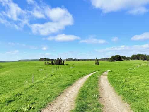 753 Pongakawa Bush Road, Pongakawa