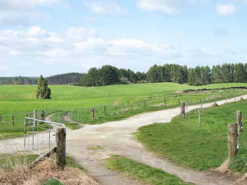 753 Pongakawa Bush Road, Pongakawa