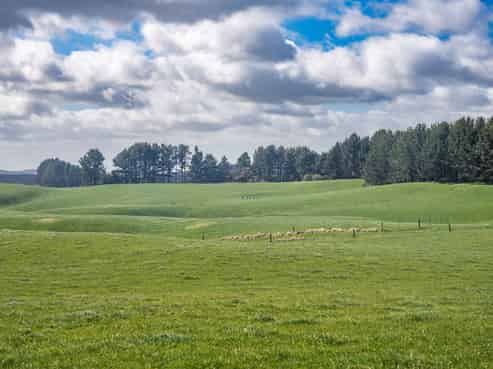 753 Pongakawa Bush Road, Pongakawa