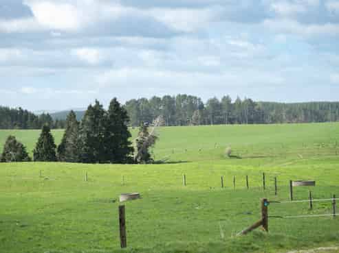 753 Pongakawa Bush Road, Pongakawa