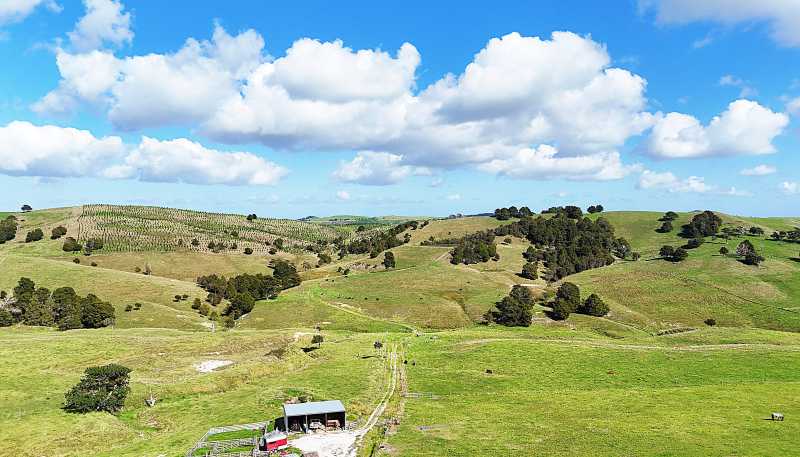 435 Parahi Road, Ruawai