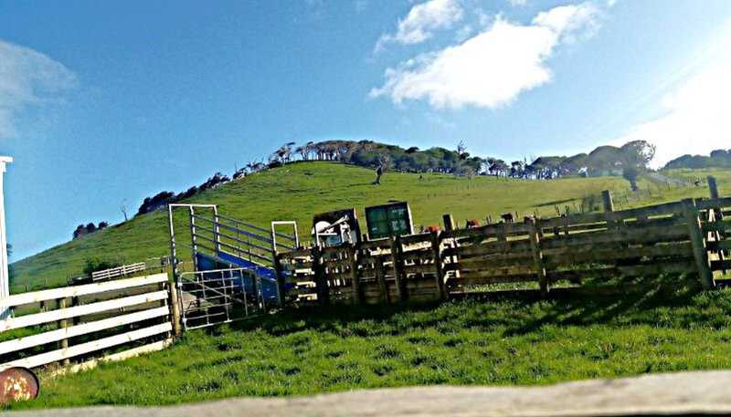 435 Parahi Road, Ruawai