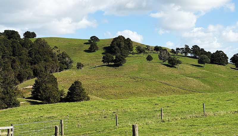 435 Parahi Road, Ruawai