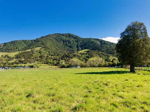 53 Grange Road, Kaikoura
