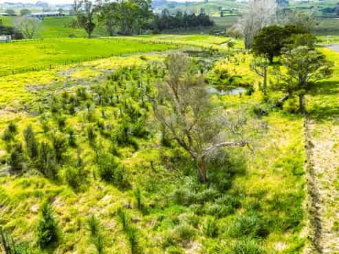 Lot 2 Minnie Casey Rise, Matakohe