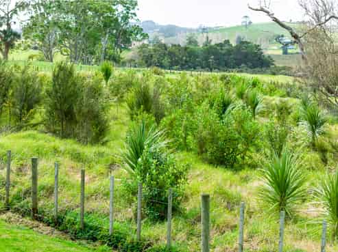 Lot 2 Minnie Casey Rise, Matakohe