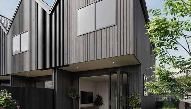 1/2 Sainsbury Road, Mount Albert