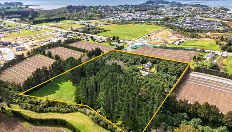 61 Prole Road, Omokoroa
