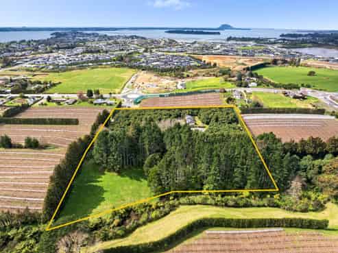 61 Prole Road, Omokoroa
