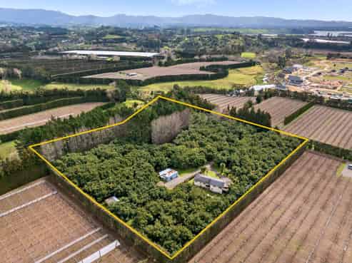 61 Prole Road, Omokoroa