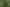 Bay of Plenty - Address withheld
