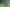 Bay of Plenty - Address withheld