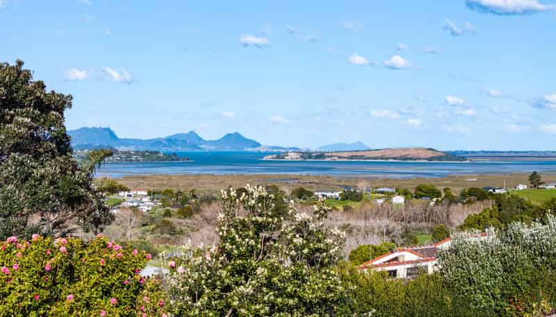 6 Clark Mcconachy Place, Raumanga