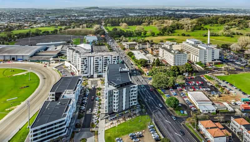 223 Greenlane West, Greenlane
