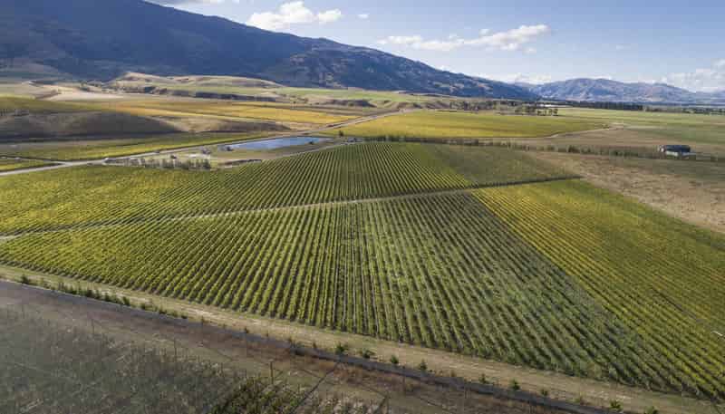 Ata Mara,  Luggate-Cromwell Road and 67G Rush Lane, Mount Pisa