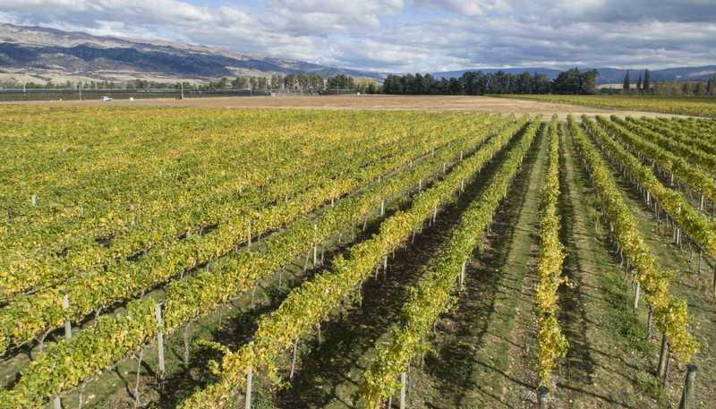 Ata Mara,  Luggate-Cromwell Road and 67G Rush Lane, Mount Pisa