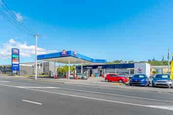 Trophy Investment in Mt Roskill