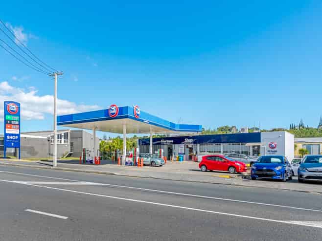 Trophy Investment in Mt Roskill