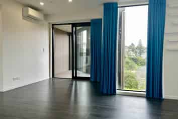 303/13 Cheshire Street, Parnell