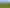 105 Norrish Road, Ohaupo