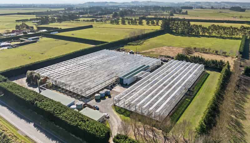 2404 Tram Road, West Eyreton