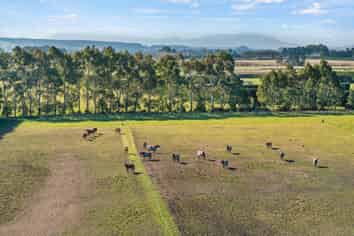 2404 Tram Road, West Eyreton