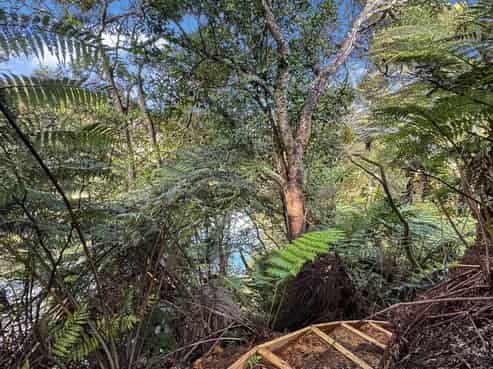 19 Blue Penguin Drive, KERIKERI