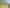 Auckland - Address withheld