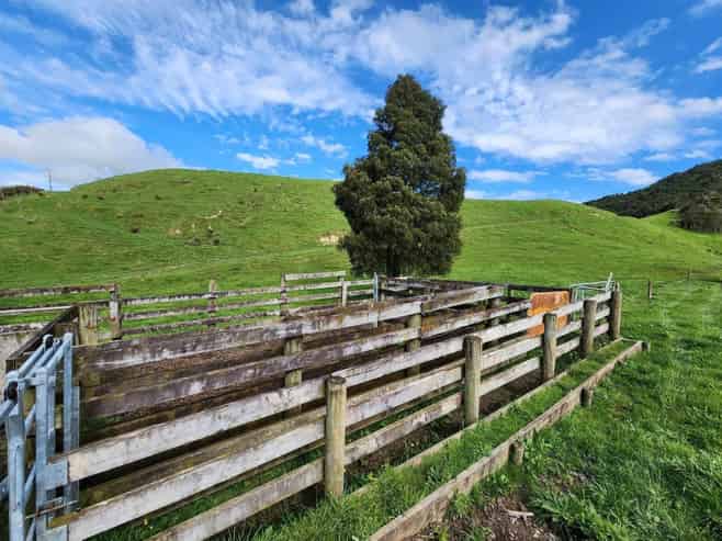  Tahuna Road, Te Hoe