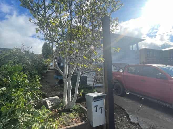 77 Mould Street, Waitara