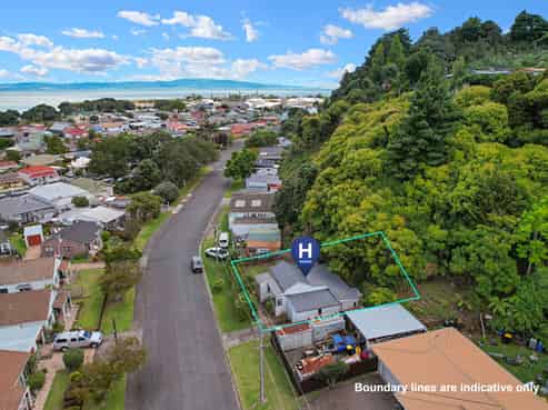 303 Campbell Street, Thames