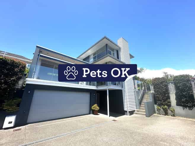 46A Fancourt Street, Meadowbank