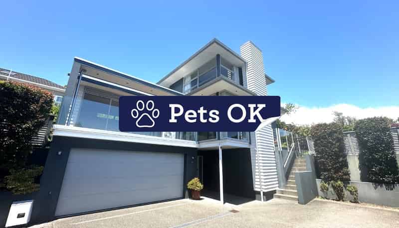46A Fancourt Street, Meadowbank