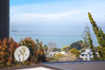 1 Bonnette Road, Flat Bush