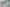 Manawatu / Whanganui - Address withheld