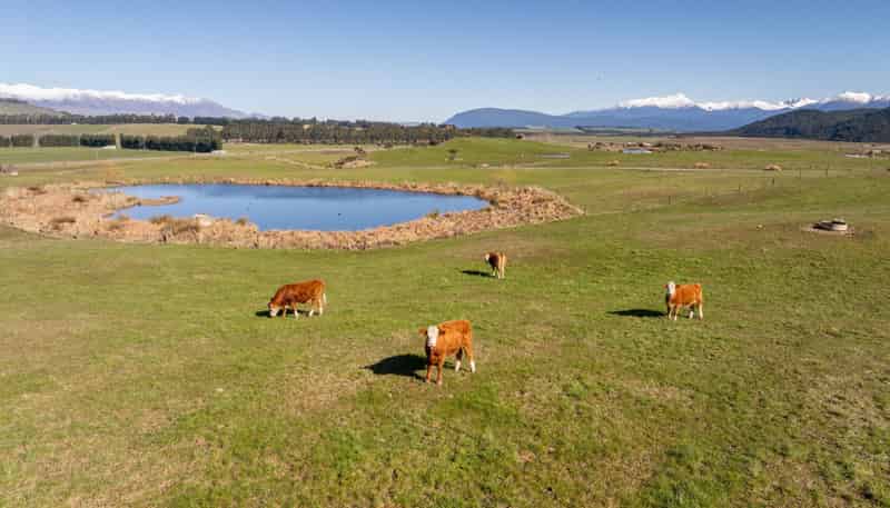 66 Forest Burn Lane, Te Anau