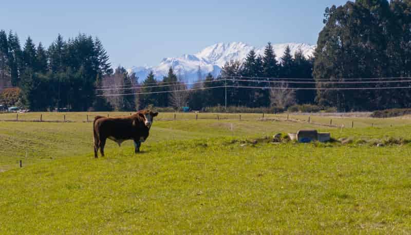 66 Forest Burn Lane, Te Anau
