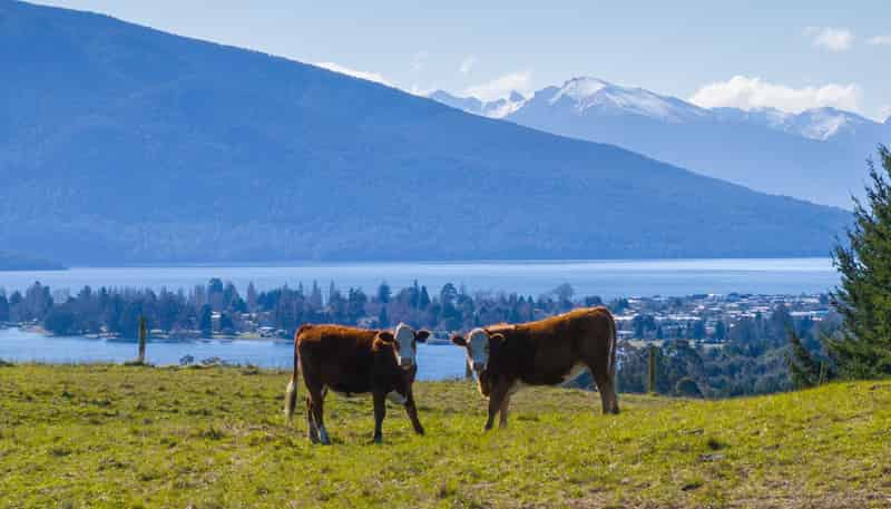 66 Forest Burn Lane, Te Anau
