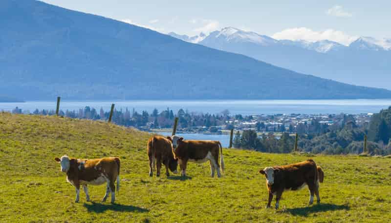 66 Forest Burn Lane, Te Anau