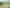 1707 Springs Road, Lincoln
