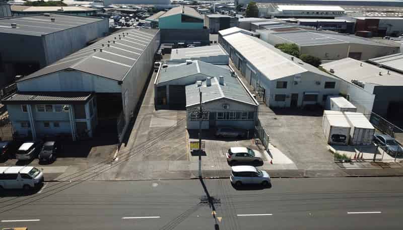 133 Captain Springs Road, Onehunga