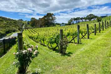 68B Korora Road, Oneroa