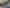 100 Albero Drive, Ohauiti